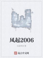 风起2006封面