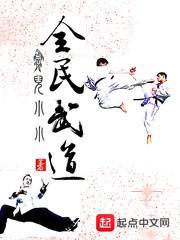 全民武道封面