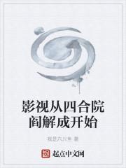 影视从四合院阎解成开始封面