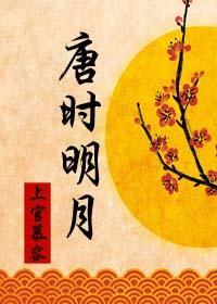 唐时明月封面