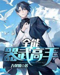 全能器武高手封面