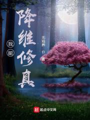 我能降维修真封面