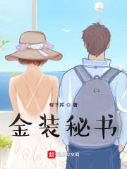 金装秘书封面