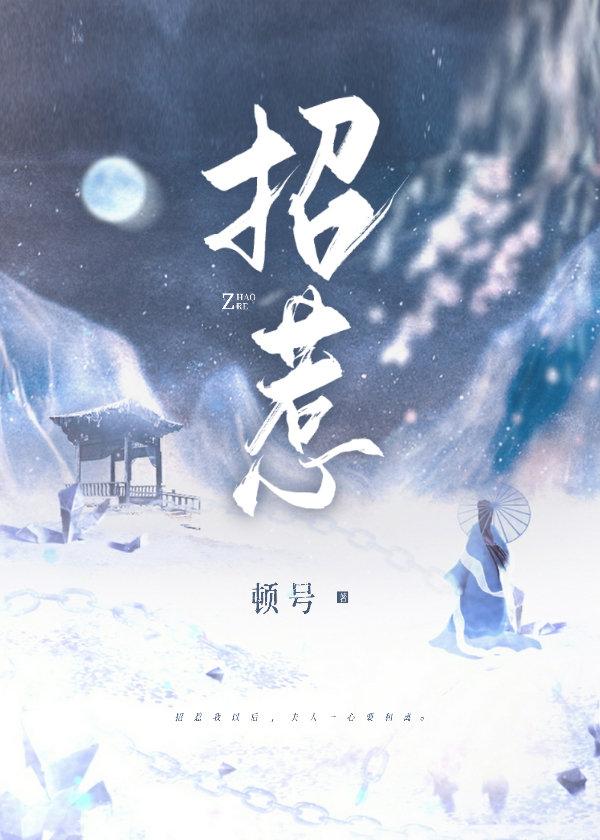 招惹封面