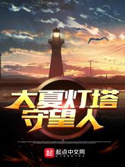 大夏守灯人封面