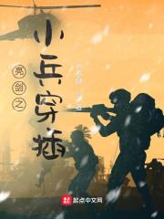 亮剑之小兵穿插封面