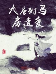 大唐驸马房遗爱封面