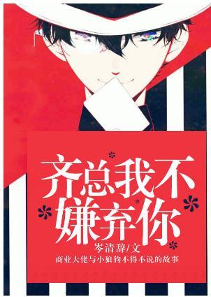 齐总我不嫌弃你封面