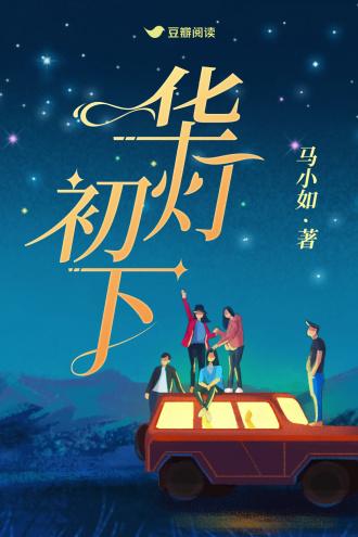 华灯初下封面