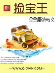 捡宝王封面