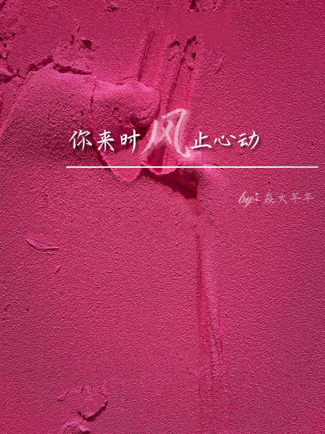 你来时风止心动封面