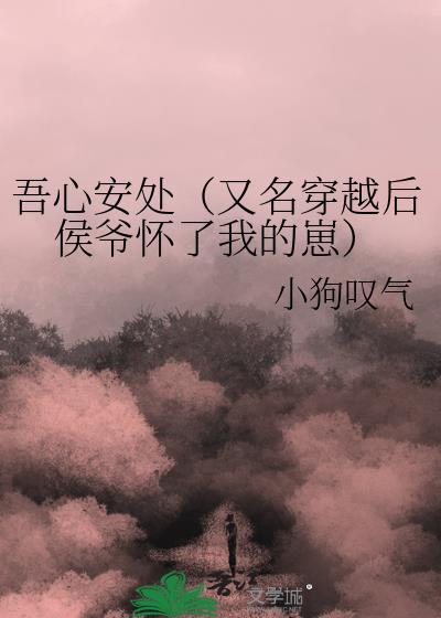 吾心安处（又名穿越后侯爷怀了我的崽）封面
