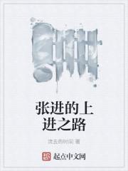 张进的上进之路封面
