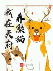 我在天府养熊猫封面