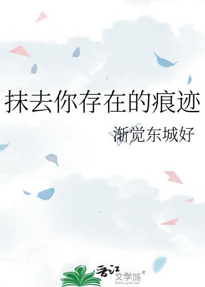 抹去你存在的痕迹封面