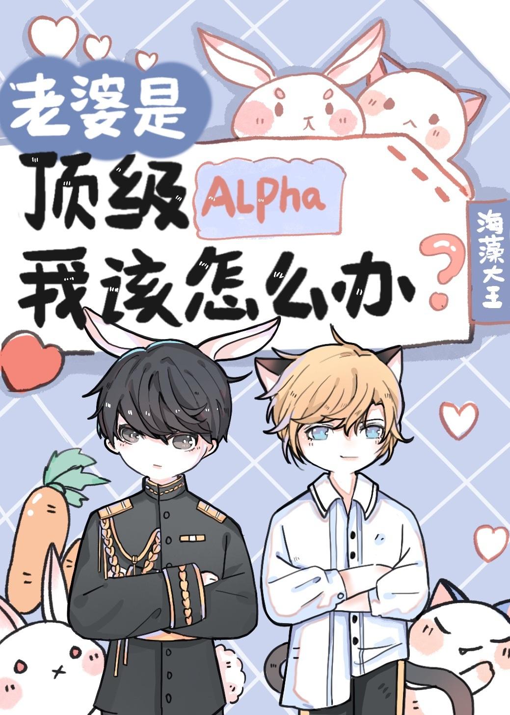 老婆是顶级Alpha，我该怎么办封面