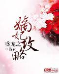盛宠之嫡妃攻略封面