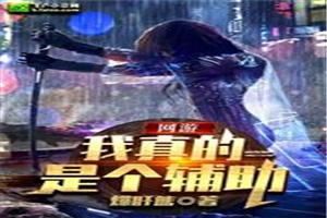 网游：我真的是个辅助封面