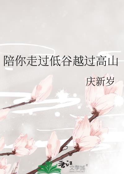 陪你走过低谷越过高山封面
