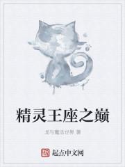 精灵王座之巅封面