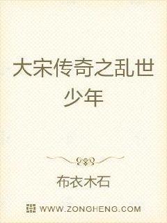 大宋传奇封面