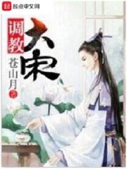调教大宋封面
