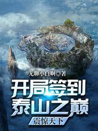 开局签到泰山之巅，震惊天下封面