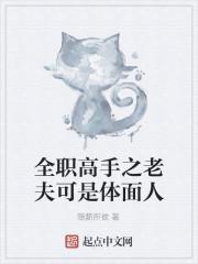 全职高手之老夫可是体面人封面