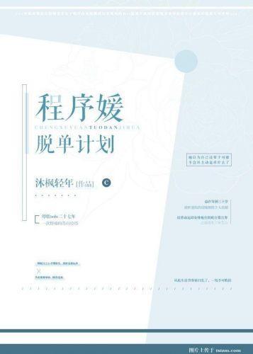 程序媛脱单计划封面
