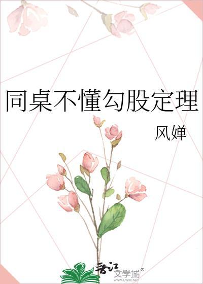 同桌不懂勾股定理封面