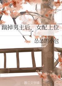 踹掉男主后，女配上位了封面