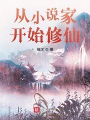 从小说家开始修仙封面