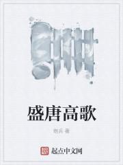 盛唐高歌封面