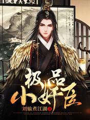 极品小奸臣封面