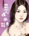 市长大人请放手封面