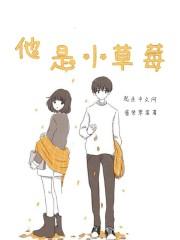 他是小草莓封面