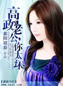 高政老公，你太坏封面