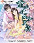 重生之灿如夏花封面