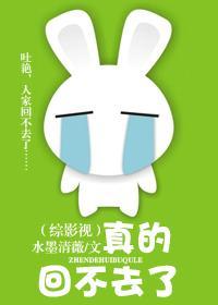 真的回不去了封面