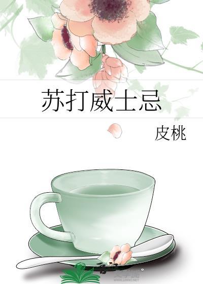 苏打威士忌封面