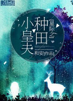 星际之种田小皇夫封面