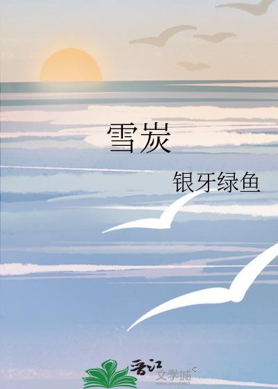 雪炭封面