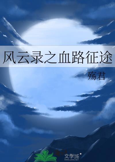 风云录之血路征途封面