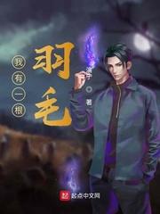修真从捡到鹏羽开始列表封面