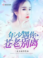 年少遇你苍老别离封面