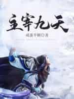 主宰九天封面