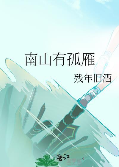 南山有孤雁封面