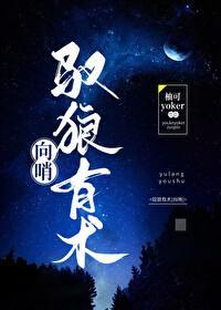 驭狼有术封面