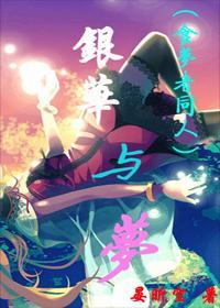 银华与梦封面