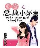 危险总裁小娇妻封面